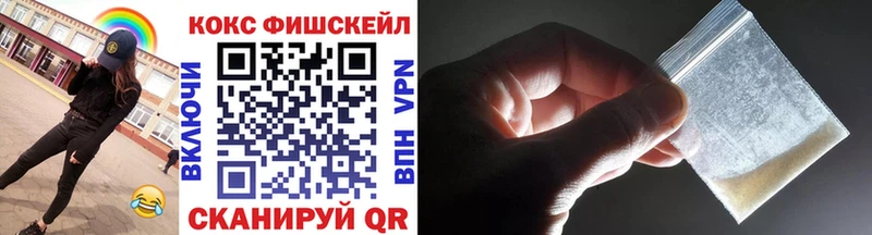 Купить закладки  Янаул  Cocaine FishScale 